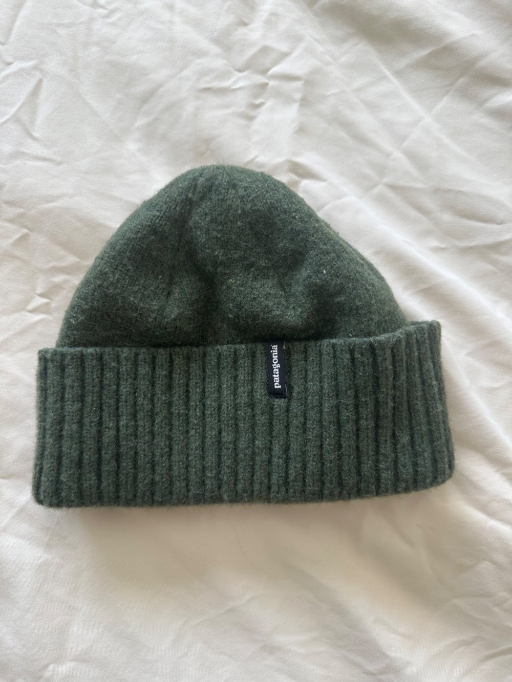 Dark Green Wool Beanie from Patagonia